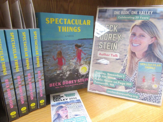 photo of several copies of the book Spectacular Things by Beck Dorey-Stein alongside promotional items including a flyer and bookmark