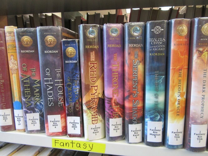 photo of library books on a shelf