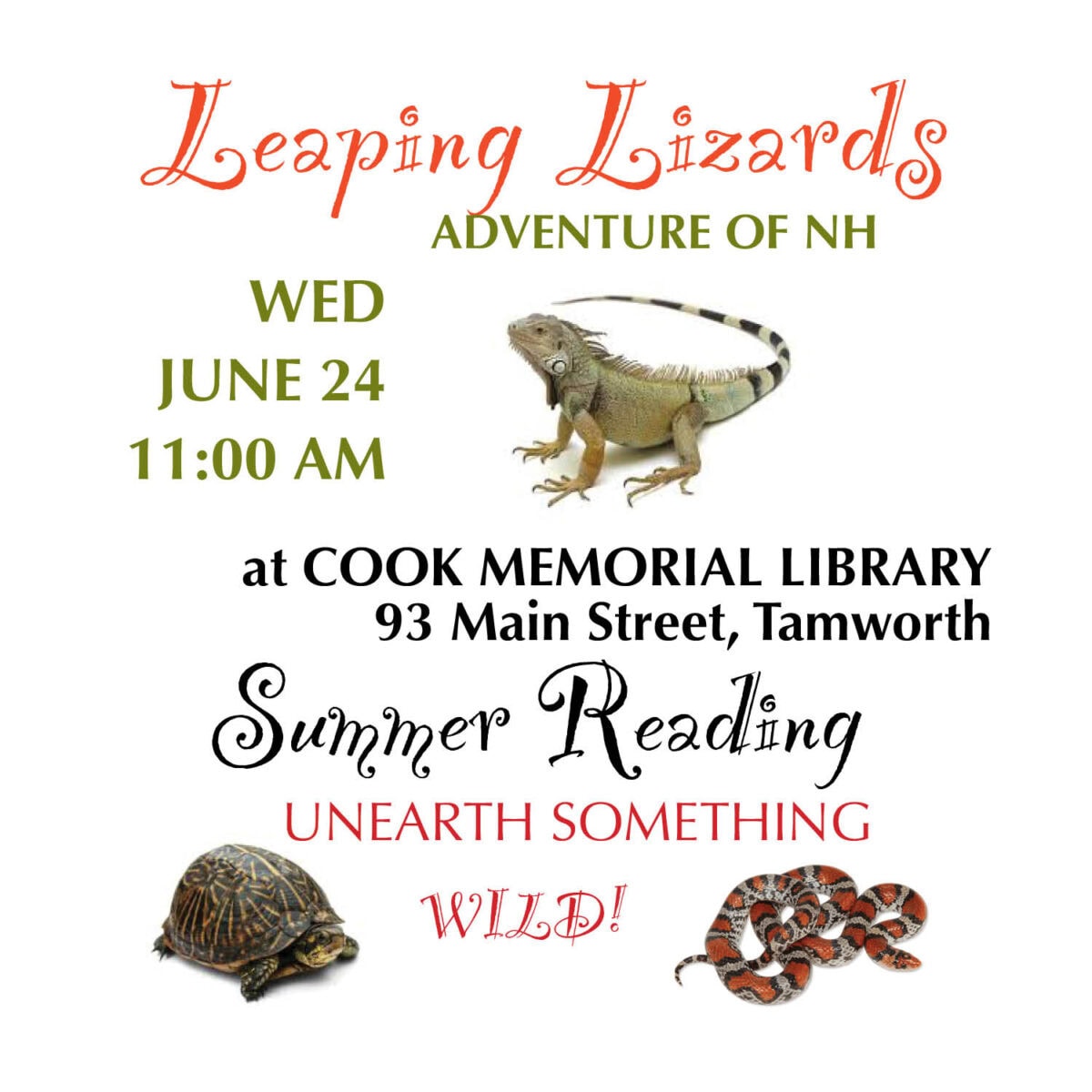 flyer for Leaping Lizards program