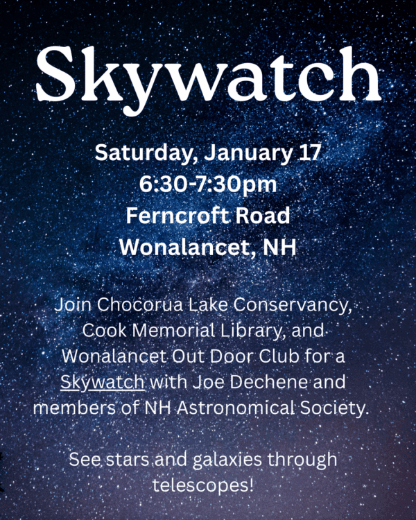 skywatch poster image